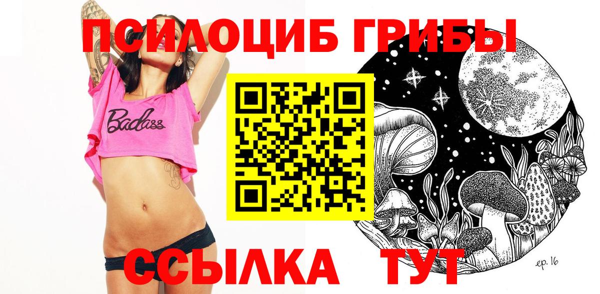 Псилоцибиновые грибы Psilocybine cubensis Кудрово