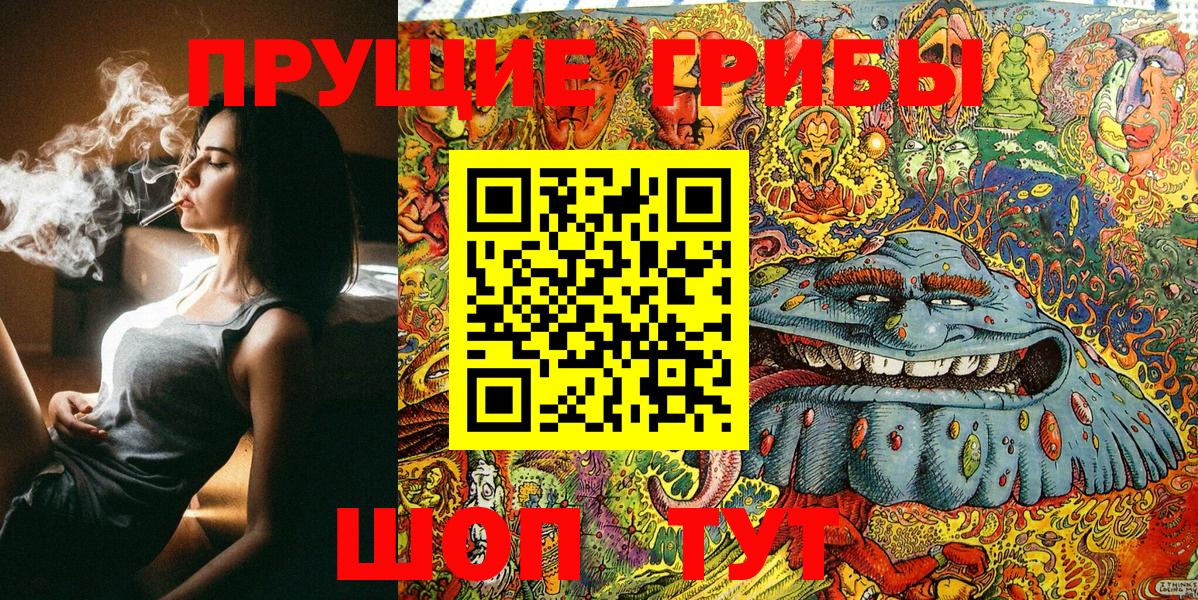 Галлюциногенные грибы прущие грибы  Вход с VPN  Кудрово 