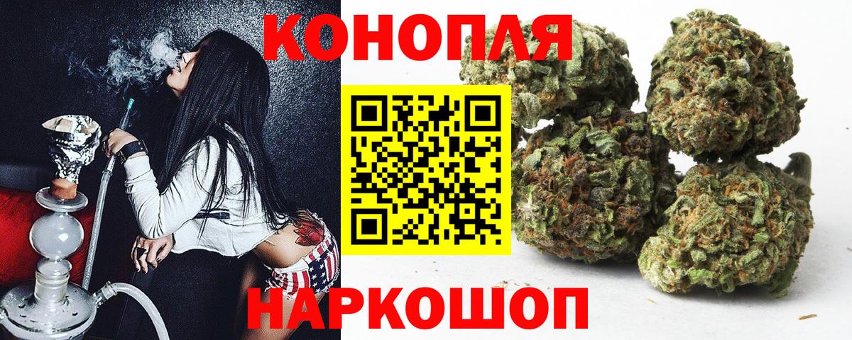 Конопля SATIVA & INDICA Кудрово